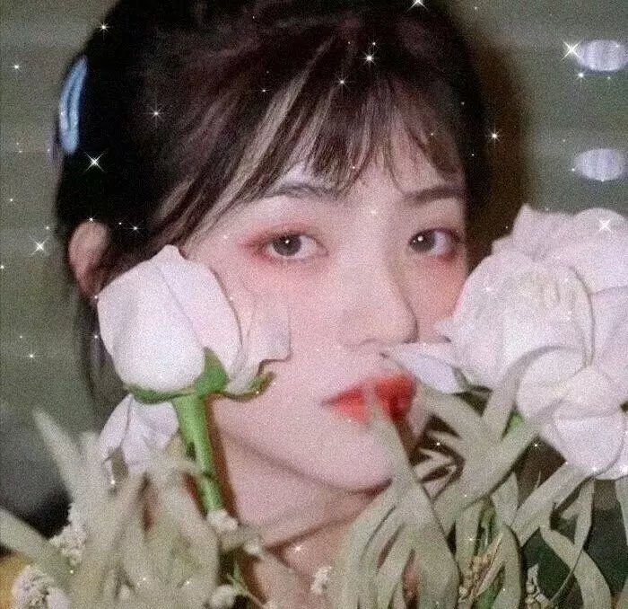 堕落天使的回忆录